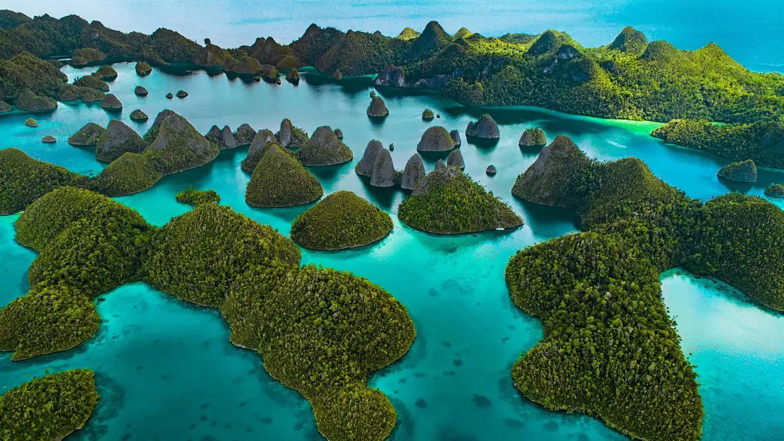 Raja Ampat: Permata Bahari dari Papua Barat