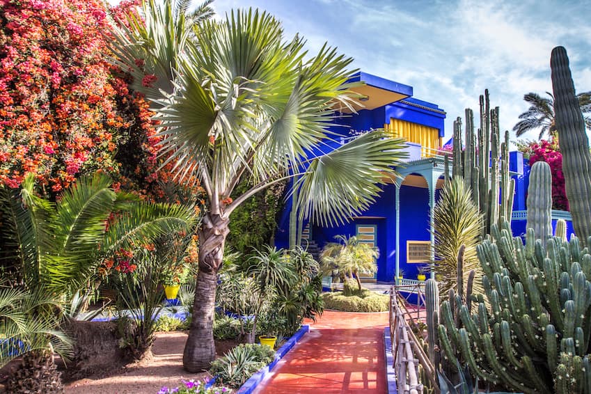 Jardin Majorelle: Surga Tersembunyi di Tengah Kota Marrakesh