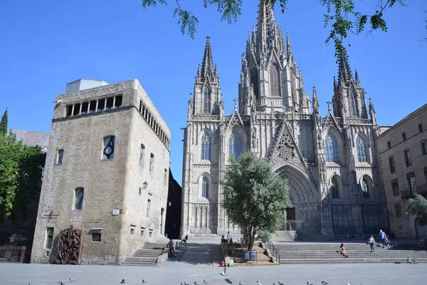 Katedral Salib Suci dan St. Eulalia: Keindahan Arsitektur dan Sejarah di Barcelona
