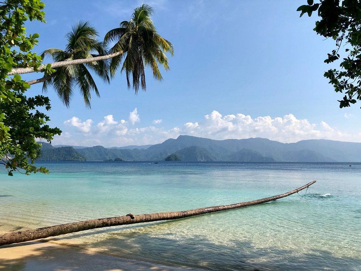 Pantai Harlem: Surga Tersembunyi di Papua
