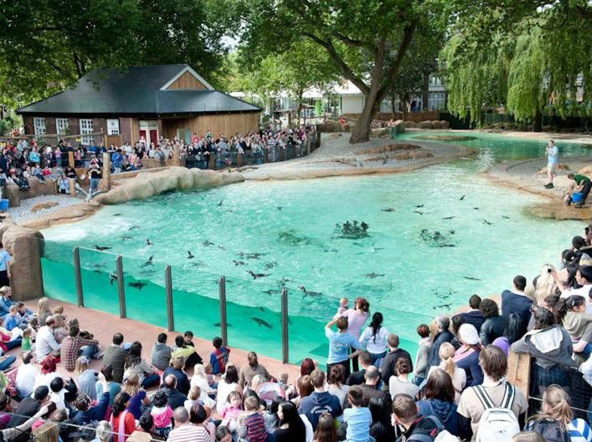 ZSL London: Menyelami Dunia Satwa dan Konservasi