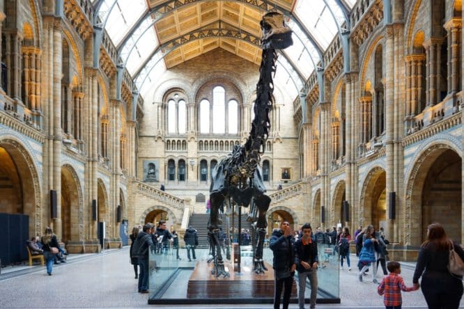 Natural History Museum: Keajaiban Alam yang Tersimpan di London
