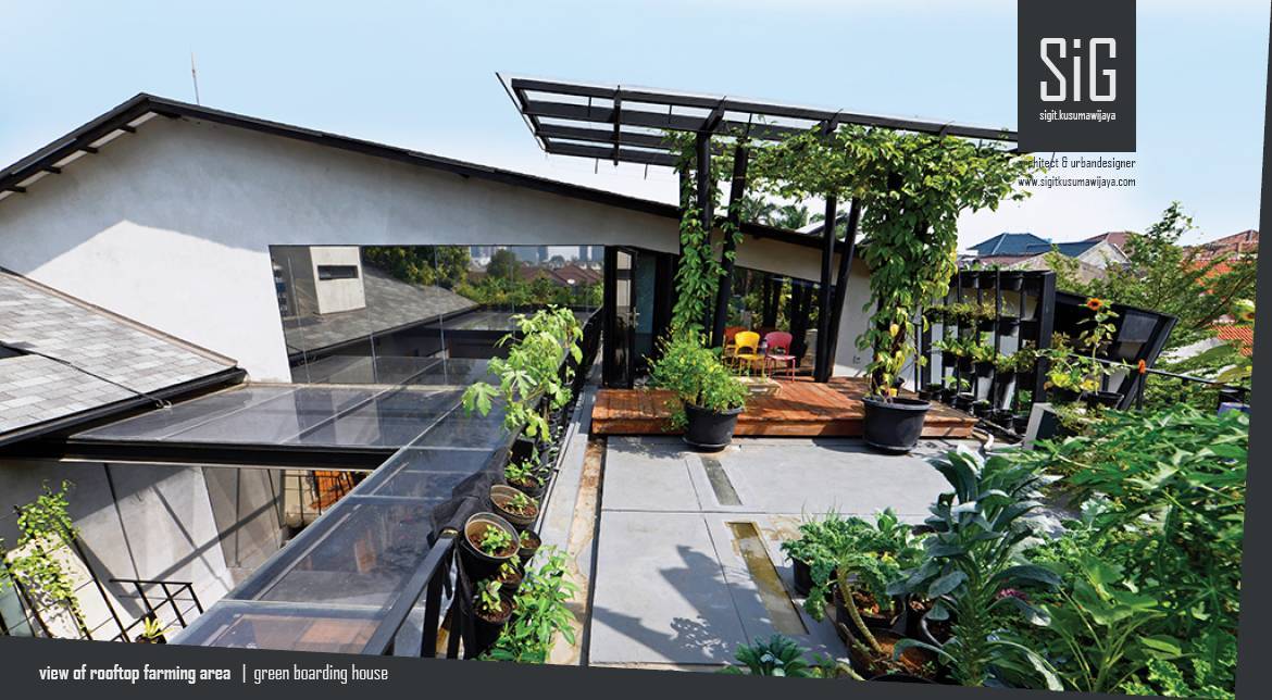 Inspirasi Desain Rumah Atap Flat dengan Rooftop Garden yang Menawan