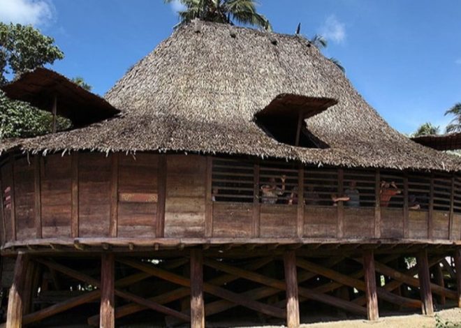 Keindahan dan Fungsi Rumah Adat Rumah Nias di Indonesia