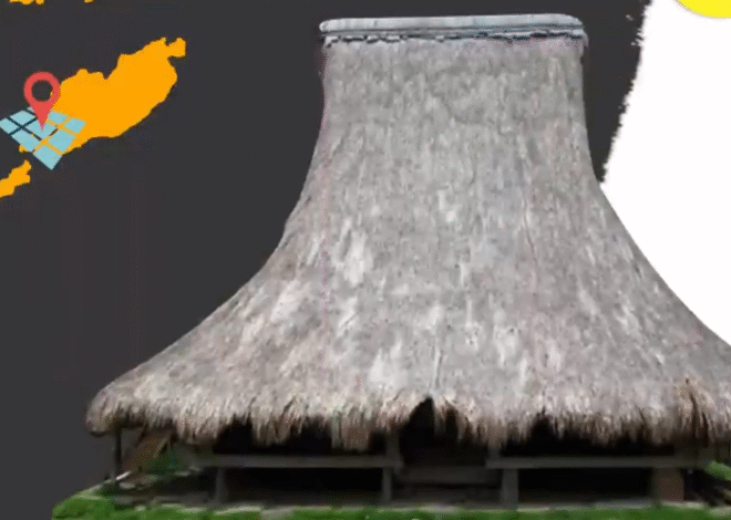 Keunikan Rumah Adat Rumah Musalaki dan Ciri-cirinya