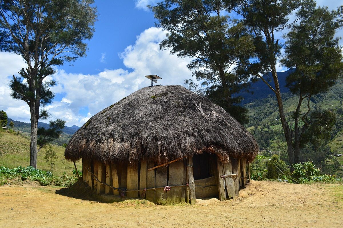 Mengenal Rumah Adat Rumah Honai: Warisan Budaya Papua