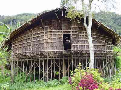 Mengenal Rumah Adat Rumah Kaki Seribu, Keunikan Arsitektur Tradisional
