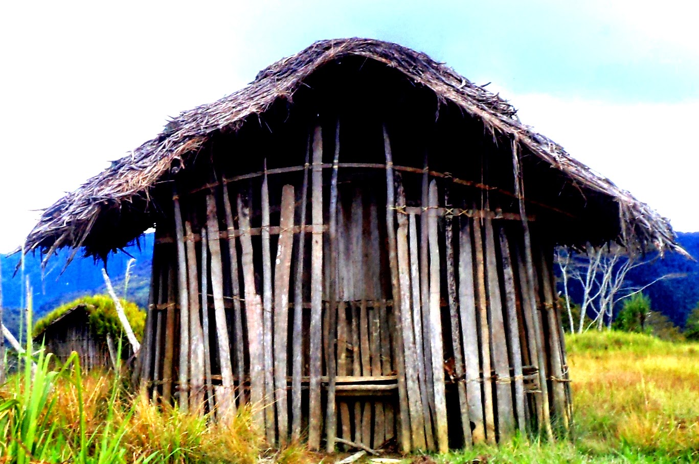 Rumah Adat Rumah Yamewa: Warisan Budaya Tradisional Papua