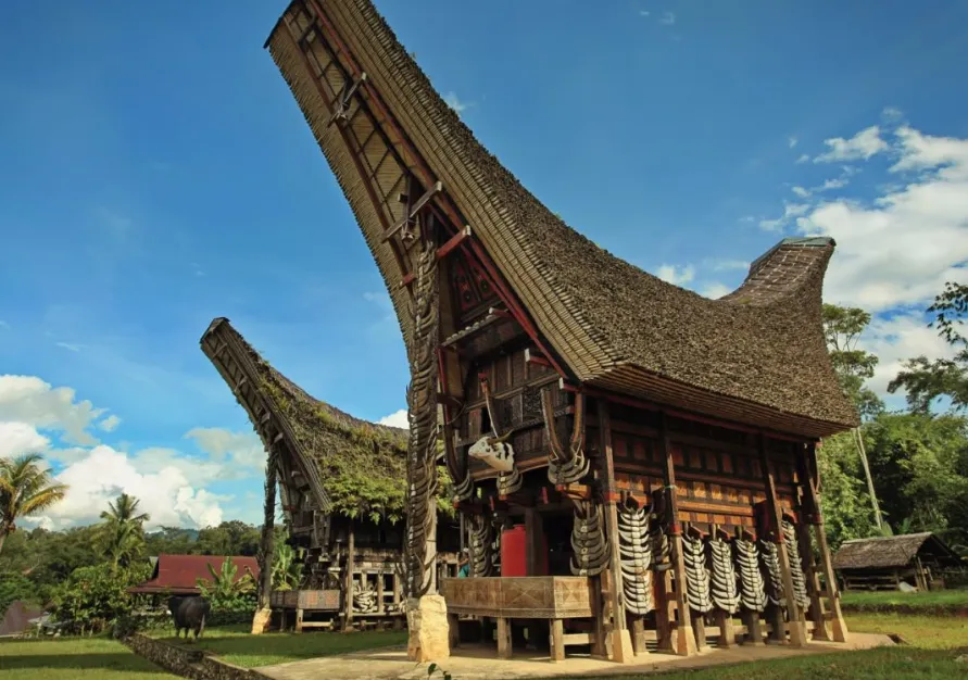Keindahan dan Filosofi Rumah Adat Rumah Balieo di Sulawesi
