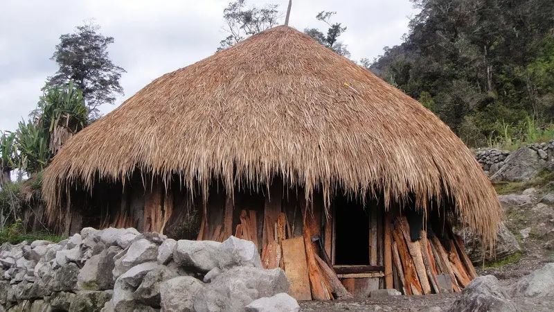 Keunikan Rumah Adat Huma Gantung: Warisan Budaya Papua