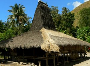 Keindahan dan Ciri Khas Rumah Adat Rumah Sao Ata Mosa Lakitana