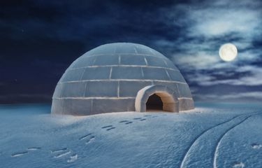 Rumah Adat Igloo di Kanada: Rumah Es Tradisional Penduduk Kutub