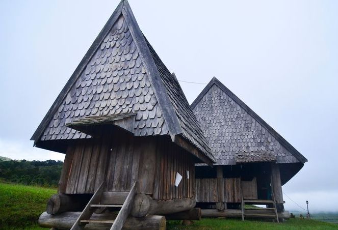 Keindahan dan Ciri Khas Rumah Adat Rumah Tambi di Papua
