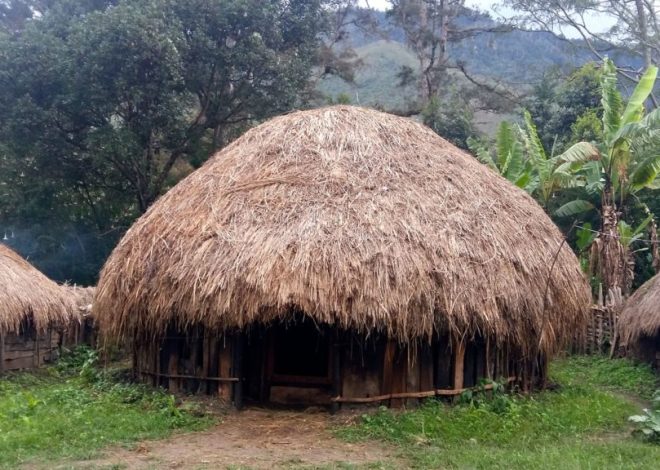 Keunikan Rumah Adat Rumah Kambik: Warisan Budaya Papua