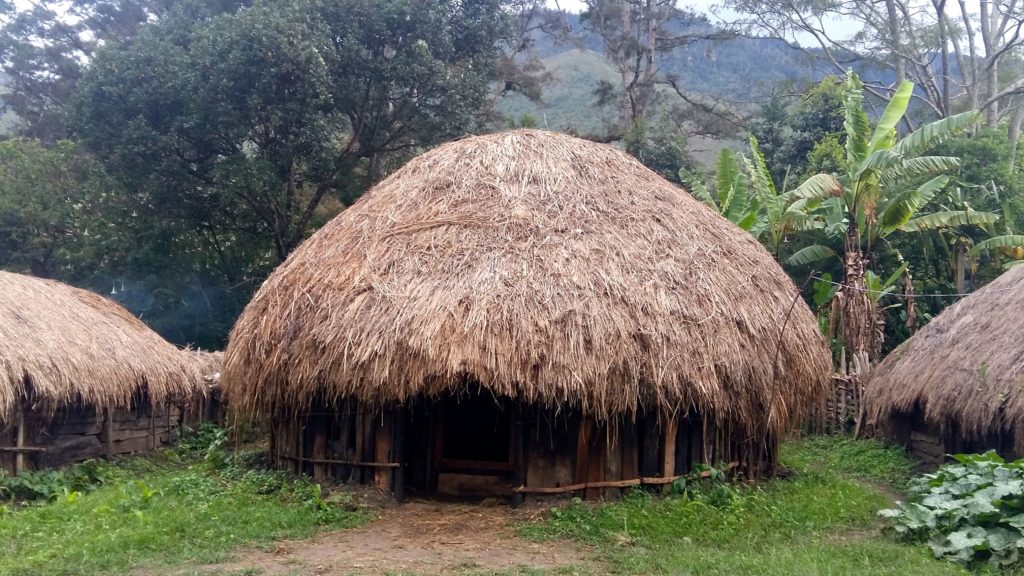 Keunikan Rumah Adat Rumah Kambik: Warisan Budaya Papua