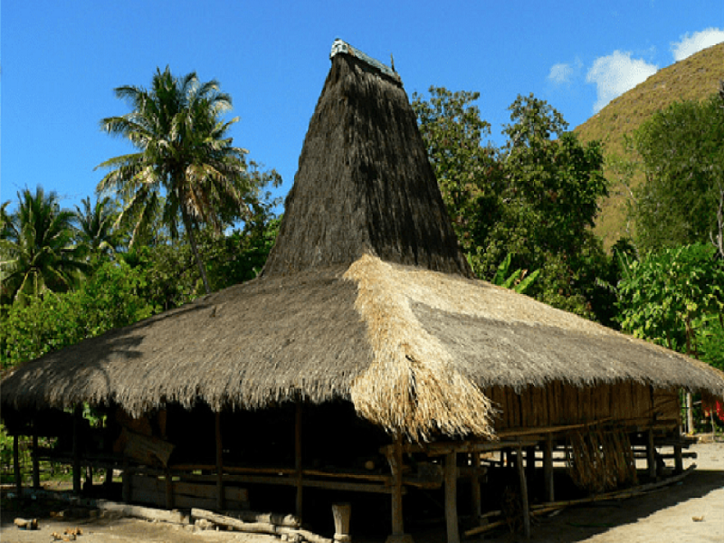 Keunikan Rumah Adat Rumah Musalaki: Warisan Budaya Minahasa