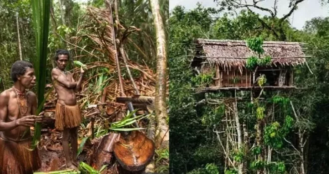 Mengenal Rumah Adat Rumah Pohon: Keunikan dan Arti Budaya